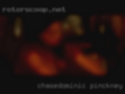 ChaseDominic Pinckney MI