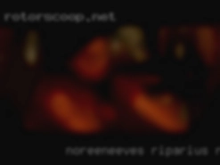 noreeneEves Riparius New York